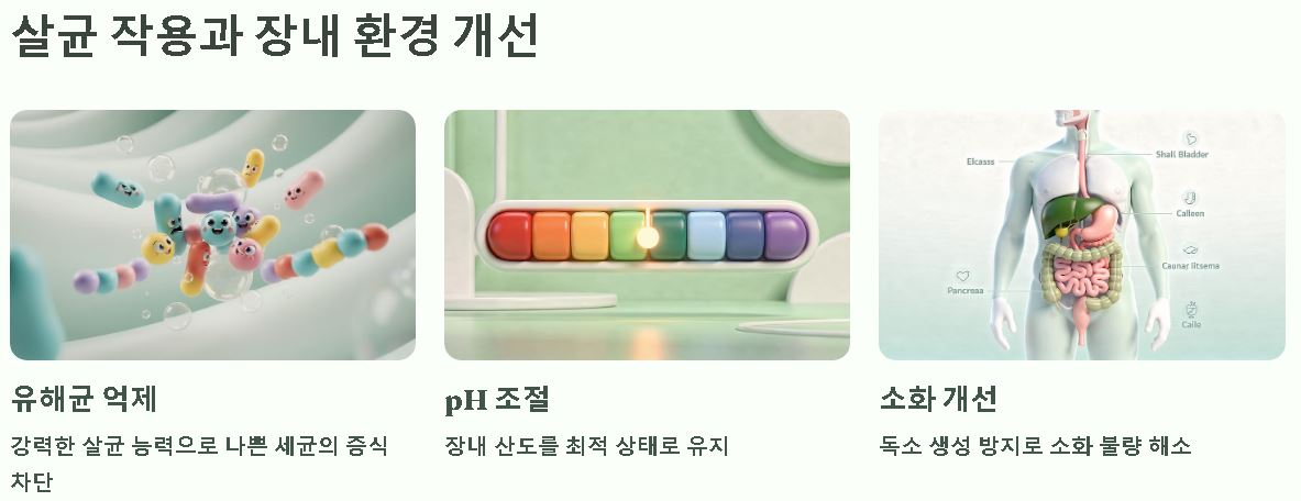 구연산 효능