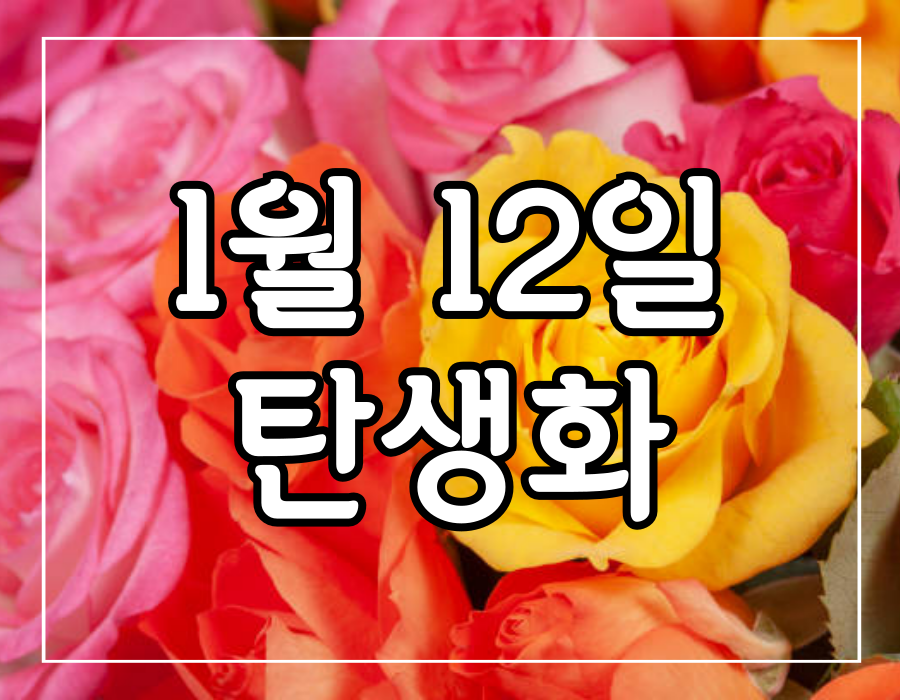 이 이미지는 1월 12일 탄생화 장미 꽃말에 관한 포스팅의 대표 이미지입니다.