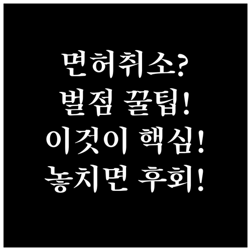 벌점 감경 지원 특약의 진실, 운전면..