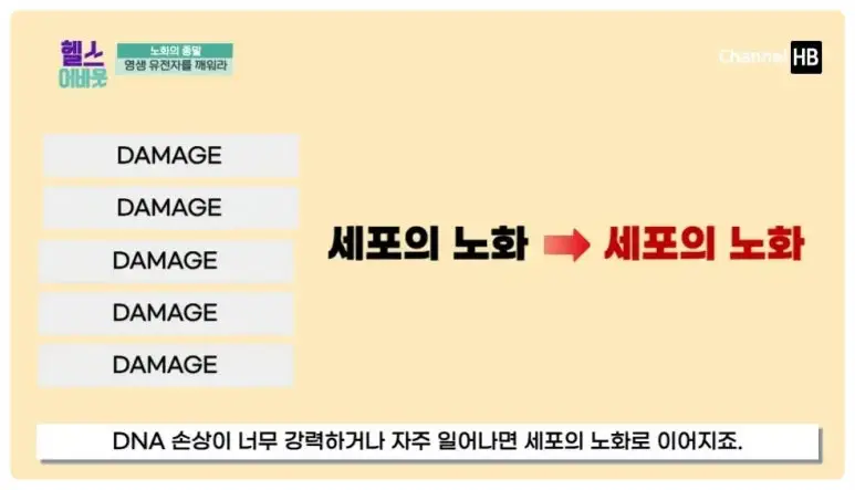 일본nmn효능