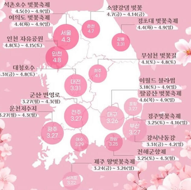 벚꽃_축제_일정