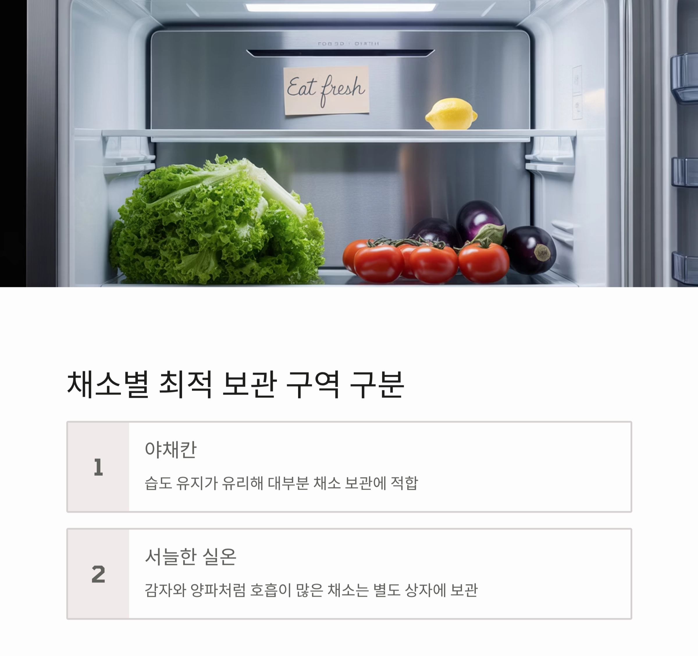 채소 오래 보관하는 과학적인 방법, 신선함 지키는 비밀