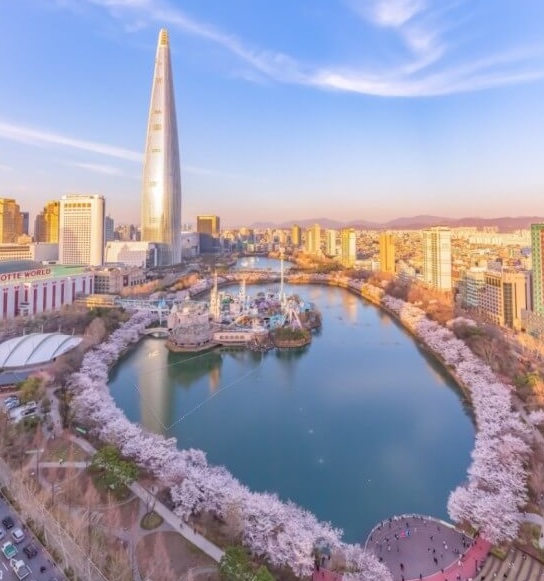 서울 시내 벚꽃 명소 TOP 3 완전 정리 사진