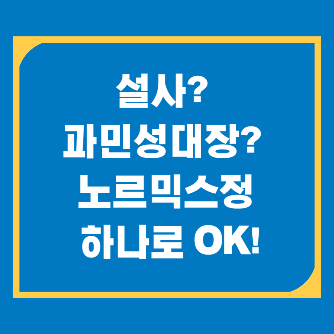 노르믹스정 효능 총정리! 성분, 복용법, 부작용까지