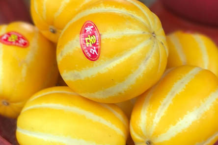 저녁밥대신과일-참외