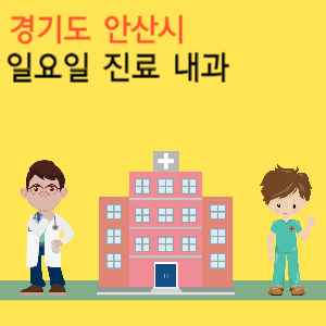 경기도 안산시 일요일 진료 내과