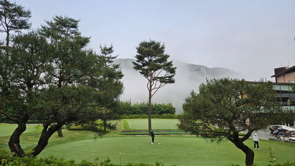 골프장 경험담 홍천 비콘힐스CC 자연과 예술이 공존하는 명품 힐링 골프장