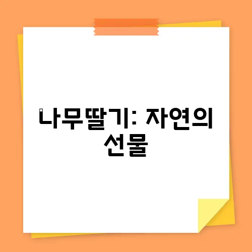 나무딸기: 자연의 선물, 건강과 미용의 비밀