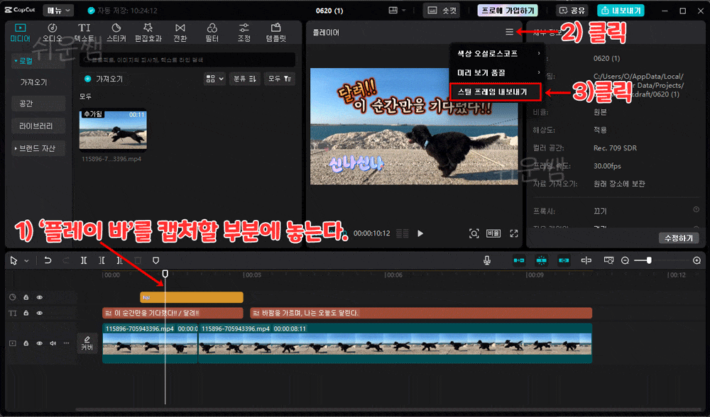 제목 자막 포함해서 캡처