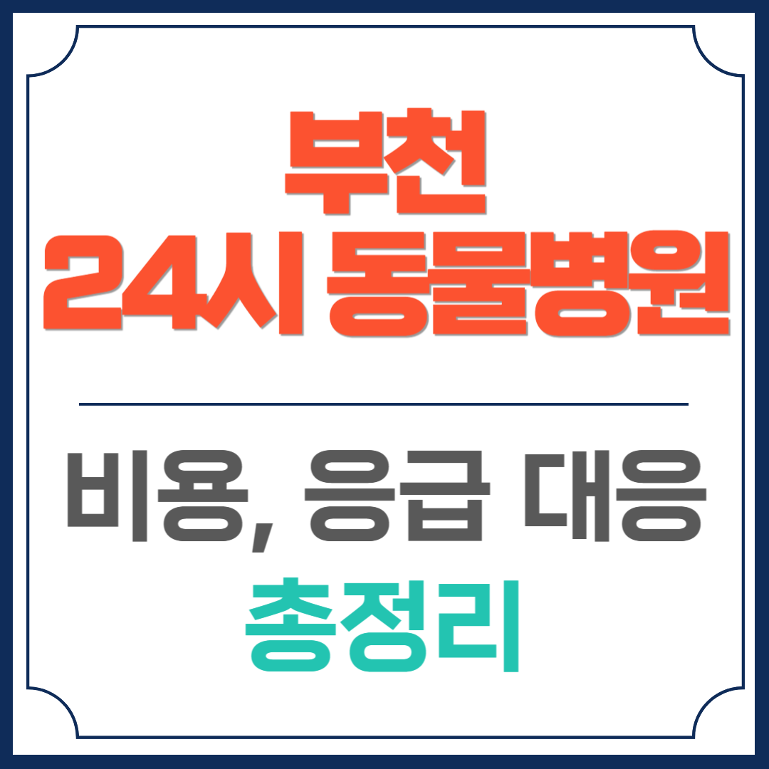 부천 24시 동물병원