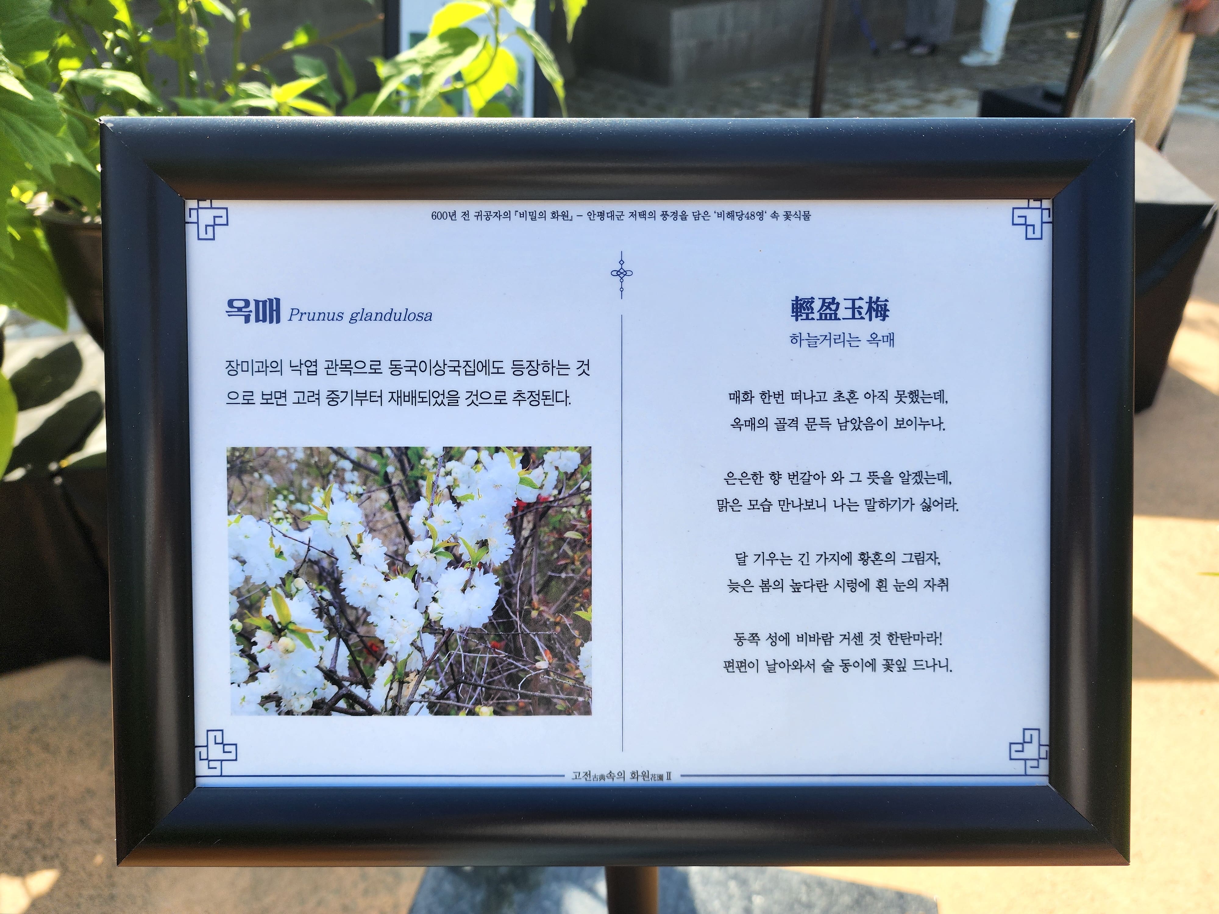 2024년 고전 속의 화원II
