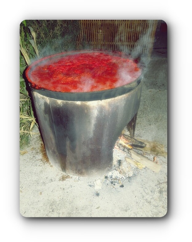 simmer-image