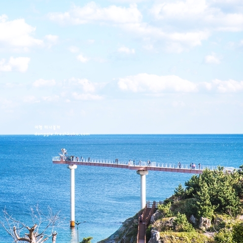 울진 가볼만한곳