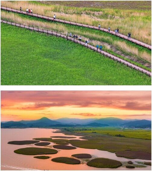 순천만습지-일몰