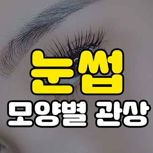눈썹모양별-관상