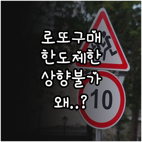 동행복권 홈페이지 로또 구매 한도 상..