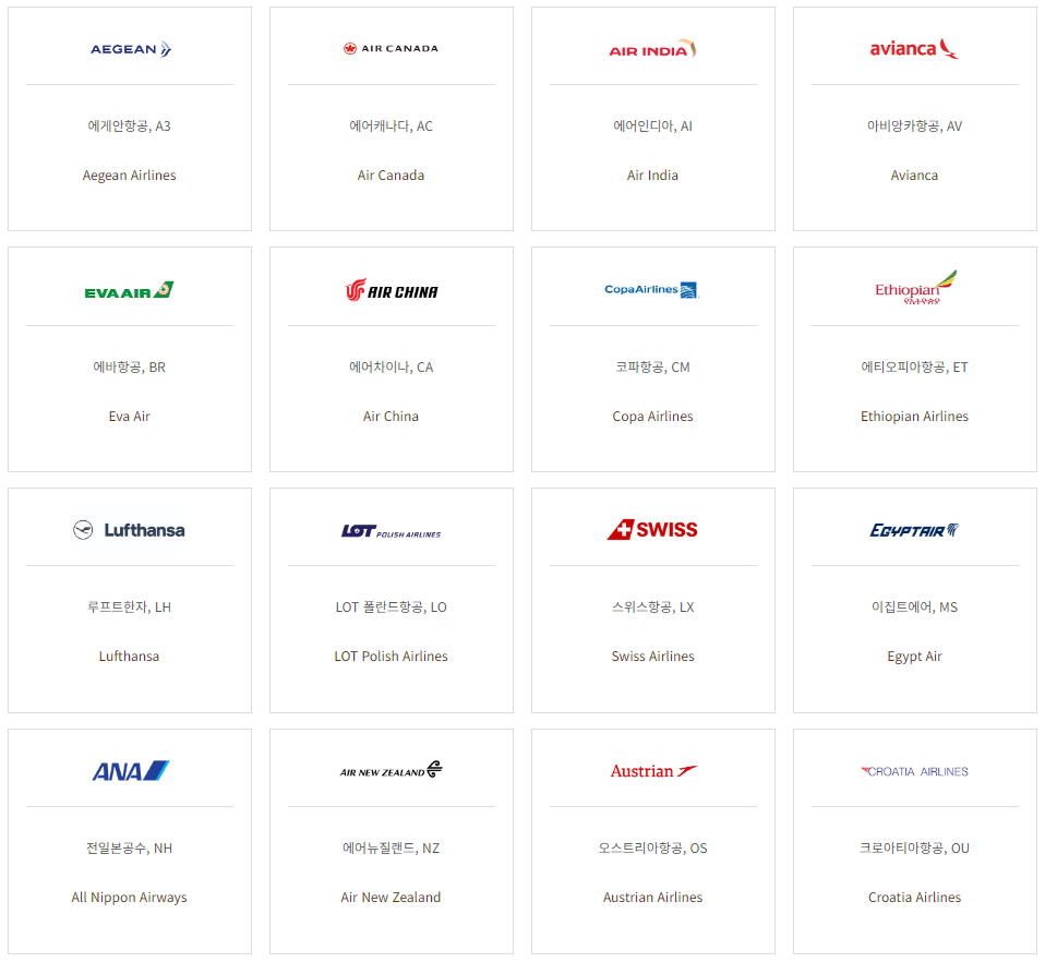 아시아나항공 스타얼라이언스 항공사