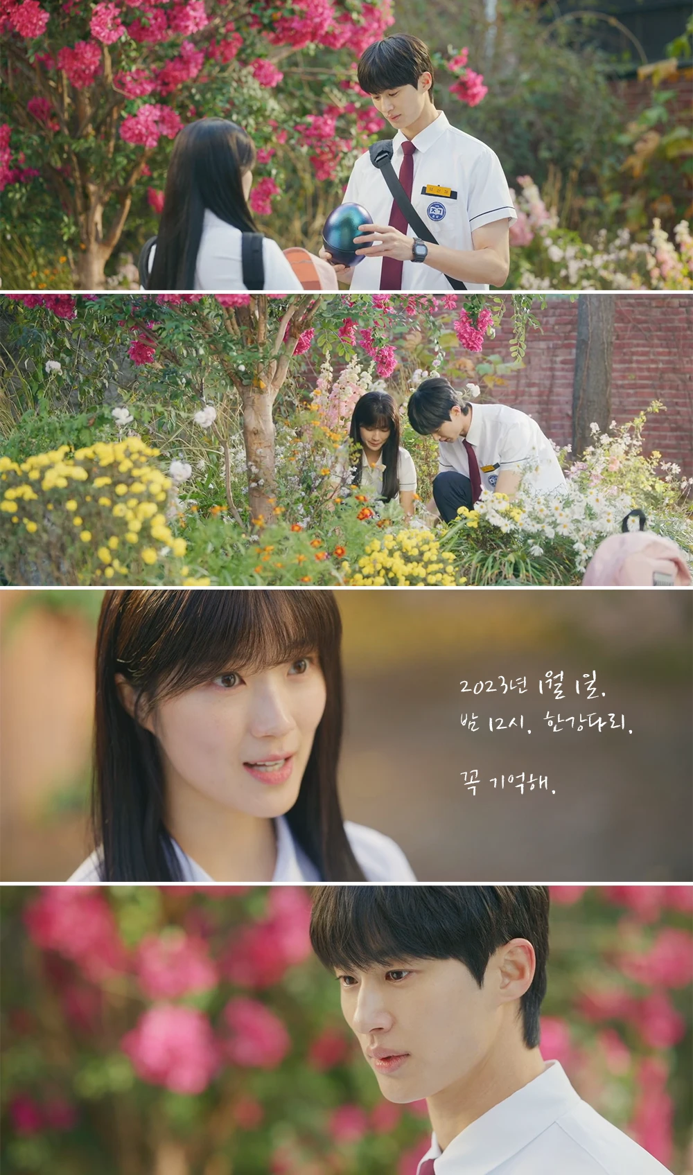 타임캡슐을-함께-묻는-선재와-솔