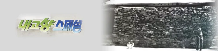 내고향스페셜로고