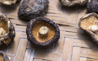 호미곶표고버섯농장