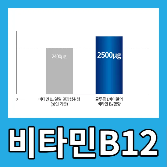 글루콤 성분