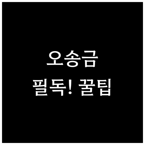 당근페이 송금 오류와 오송금 문제 해..