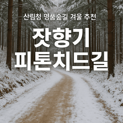 산림청 명품숲길 겨울 트레킹 : 가평 잣향기 피톤치드길 코스&middot;주차&middot;팁