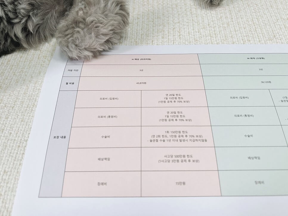 펫보험 비교
