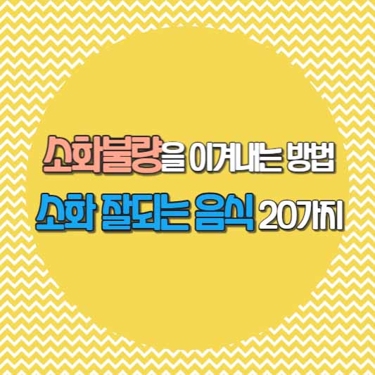 소화 잘되는 음식 20가지