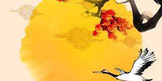 2026년 병오년 신년운세 무료사이트 추천