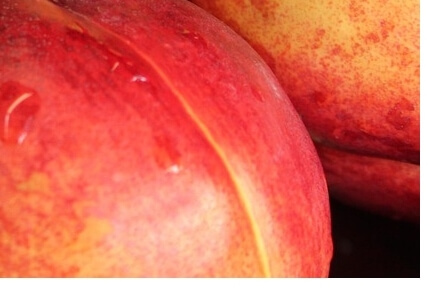 천도복숭아효능