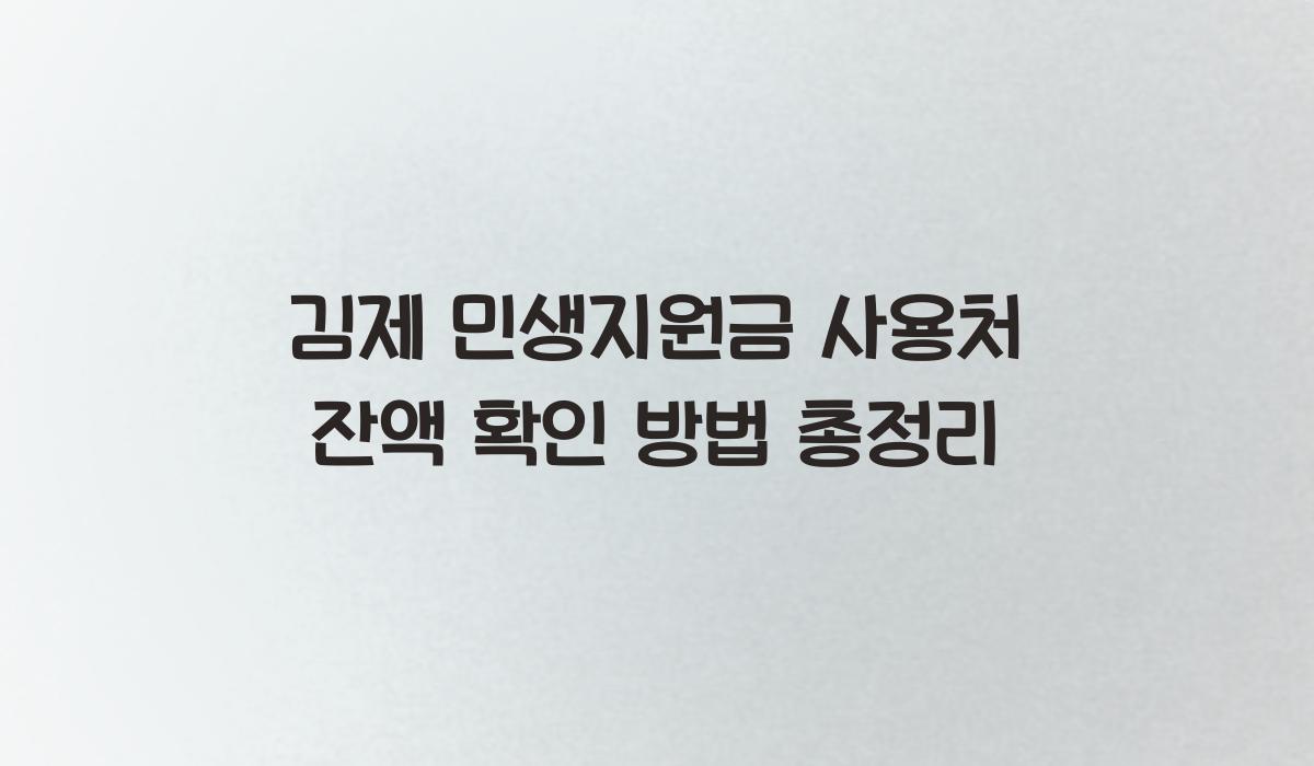 김제 민생지원금 사용처 잔액 확인 방법 총정리