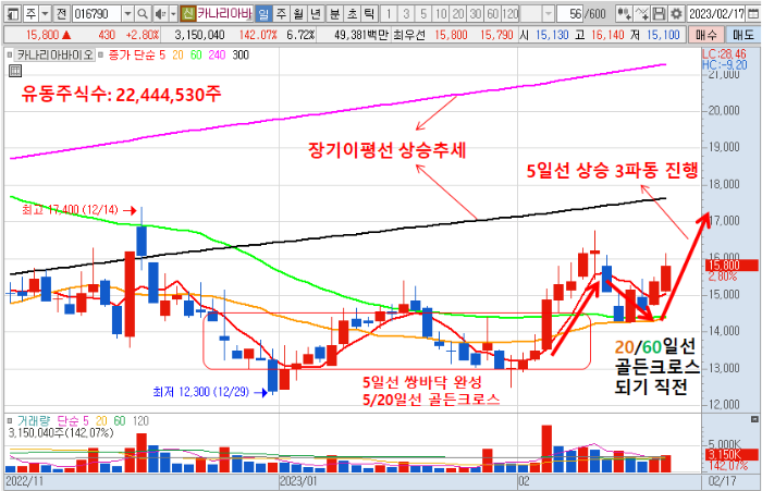 2월 17일 카나리아바이오 일봉 차트