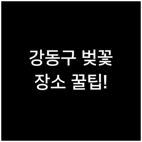강동구 벚꽃 축제 시기 및 장소별 상..