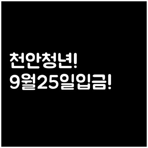 천안 청년월세지원 2026년 9월 첫..