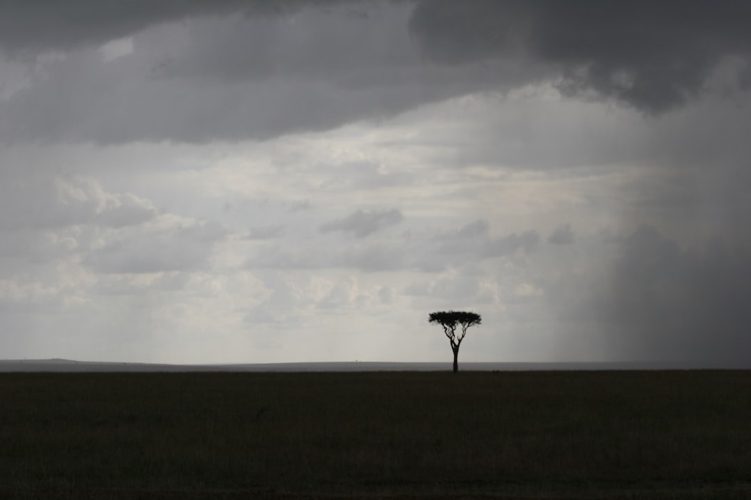 'Land'