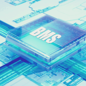 BMS 관련주 대장주 테마주 TOP10