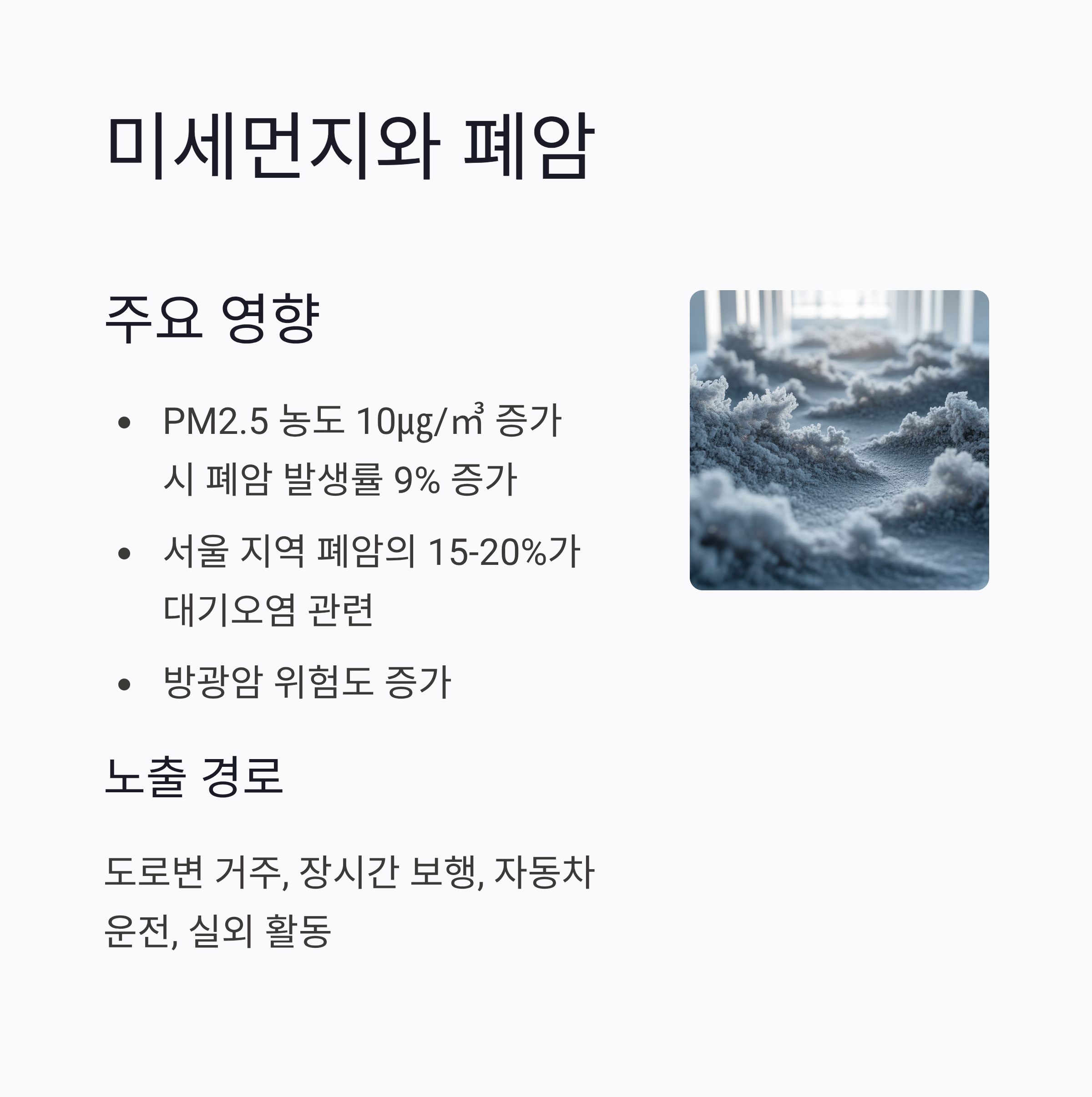 환경 발암물질이 연관된 암종류