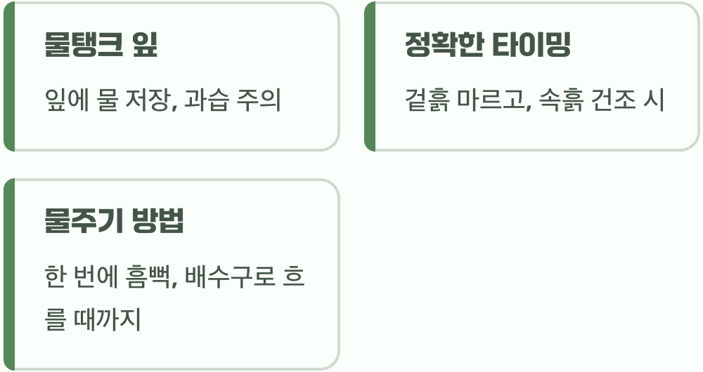 과한 사랑은 금물, 물주기의 기술
