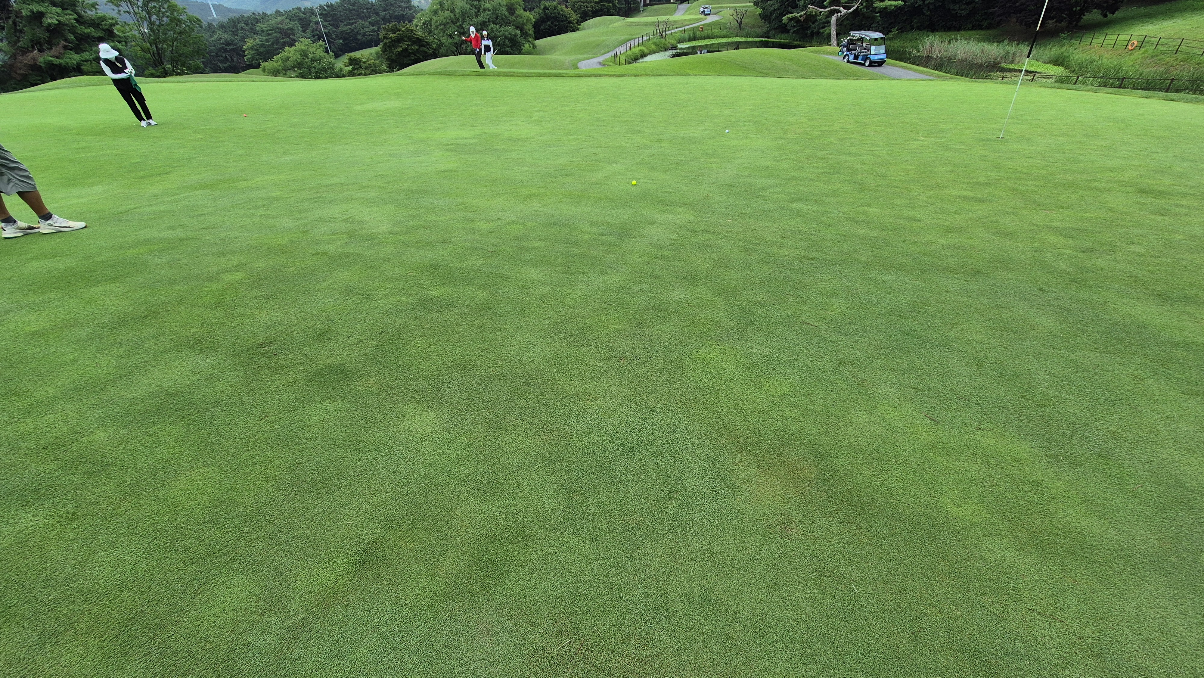 한림용인cc 다이아몬드-사파이어 코스 라운드 후기