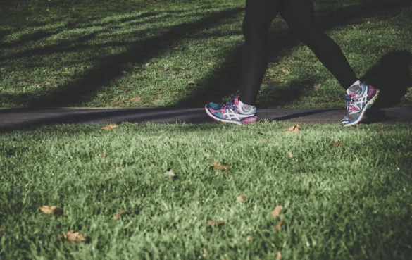 면역력 &활력 UP 습관: 잔병치레 끝! 필수 가이드