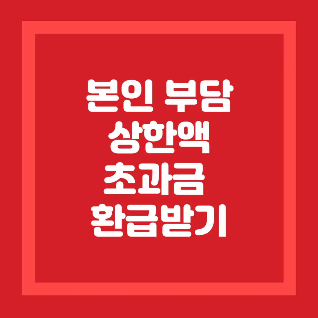 본인 부담상한액 초과금 환금받기