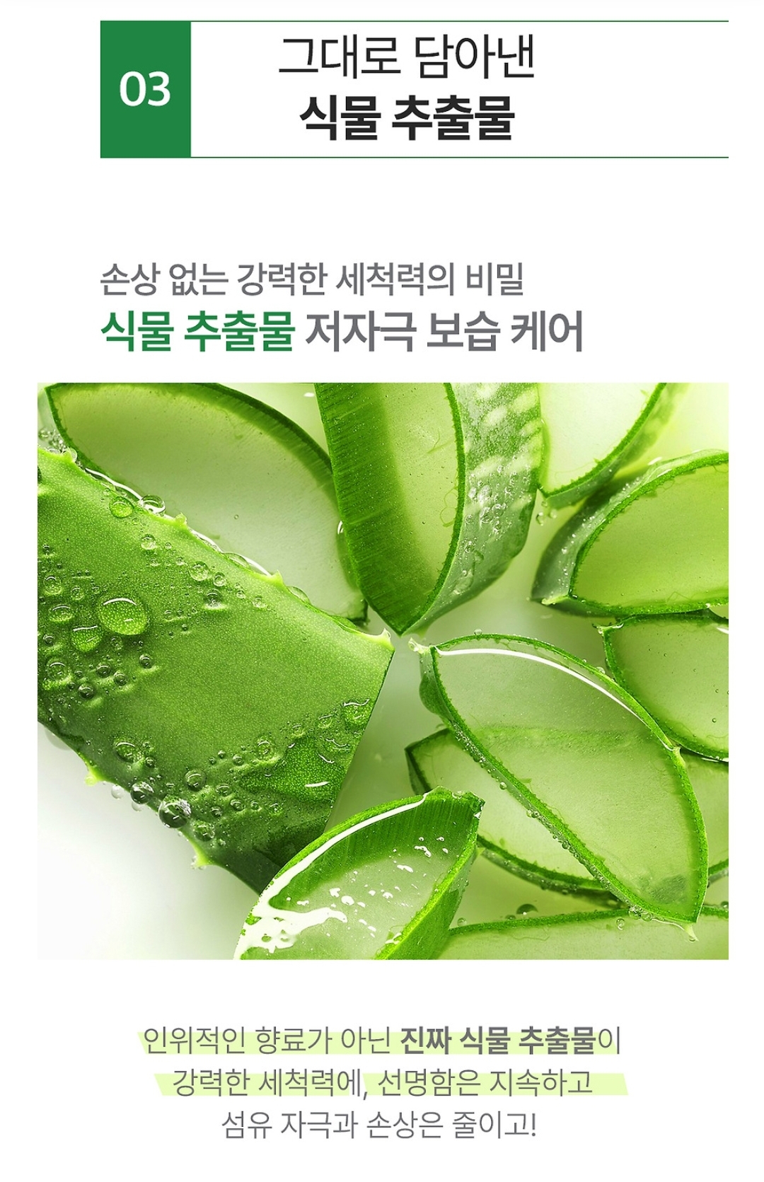 네고왕 프로쉬