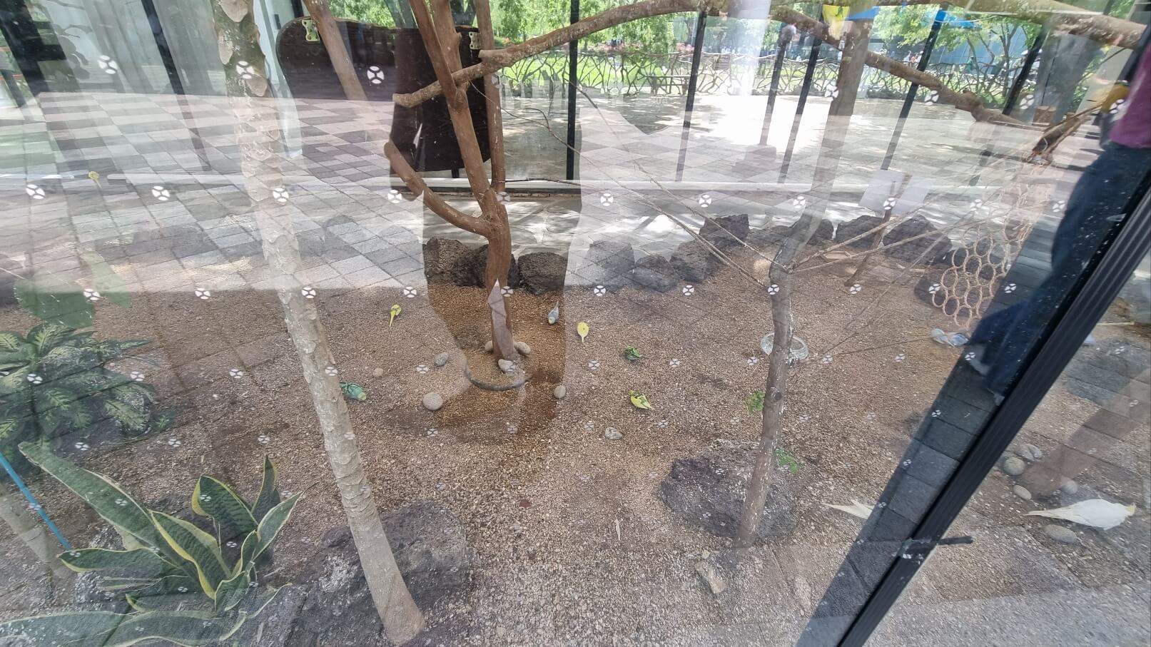 순천만국가정원 서문 동물원