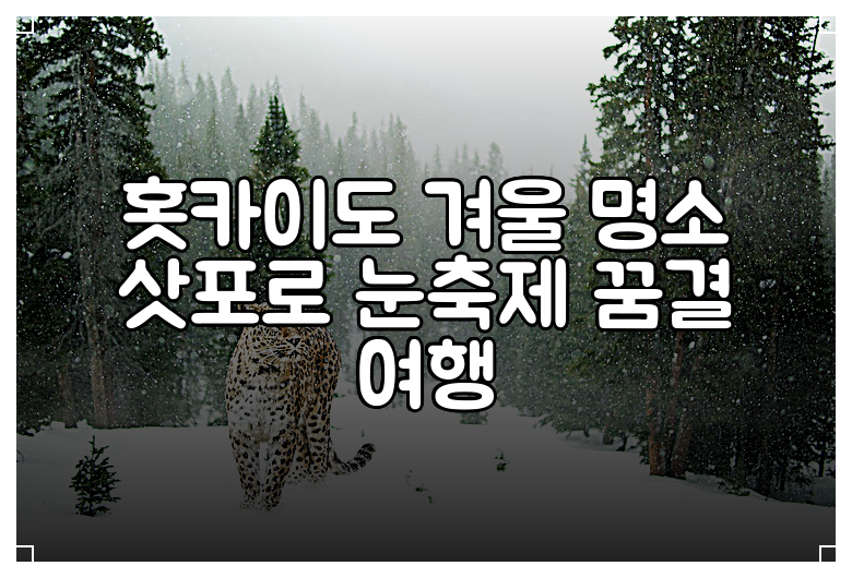 홋카이도 겨울 명소 삿포로 눈축제 꿈결 여행