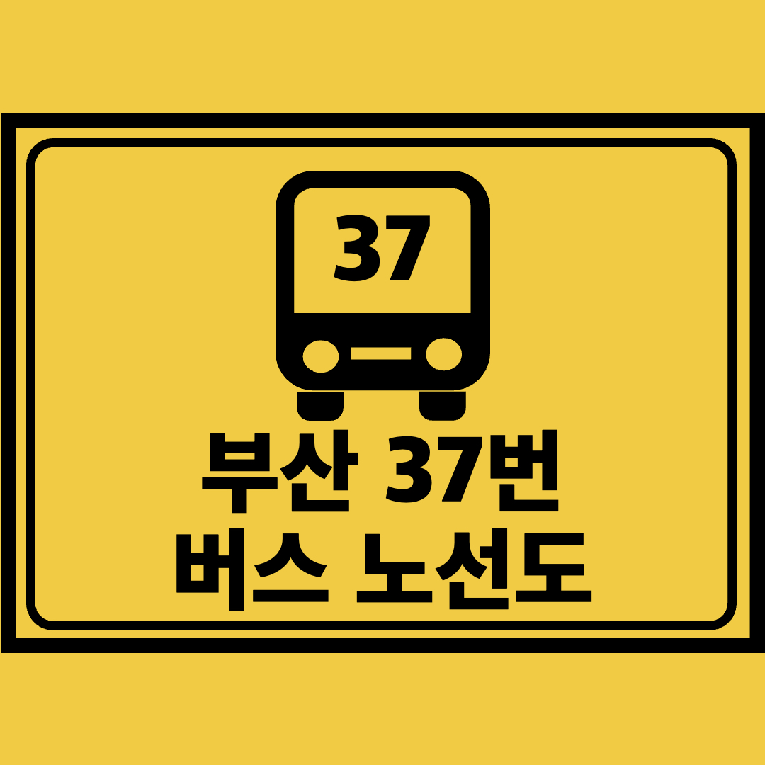 부산37번버스노선도