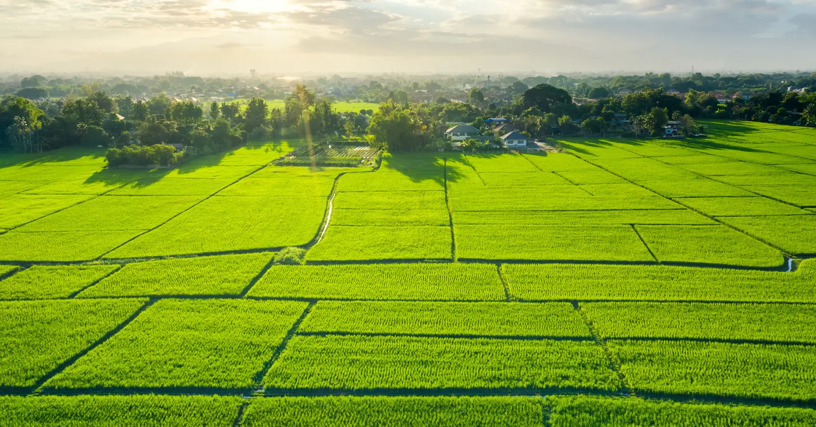 공시지가와 실거래가 차이의 원인과 영향