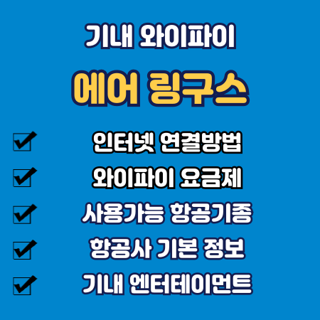 에어 링구스 기내 와이파이