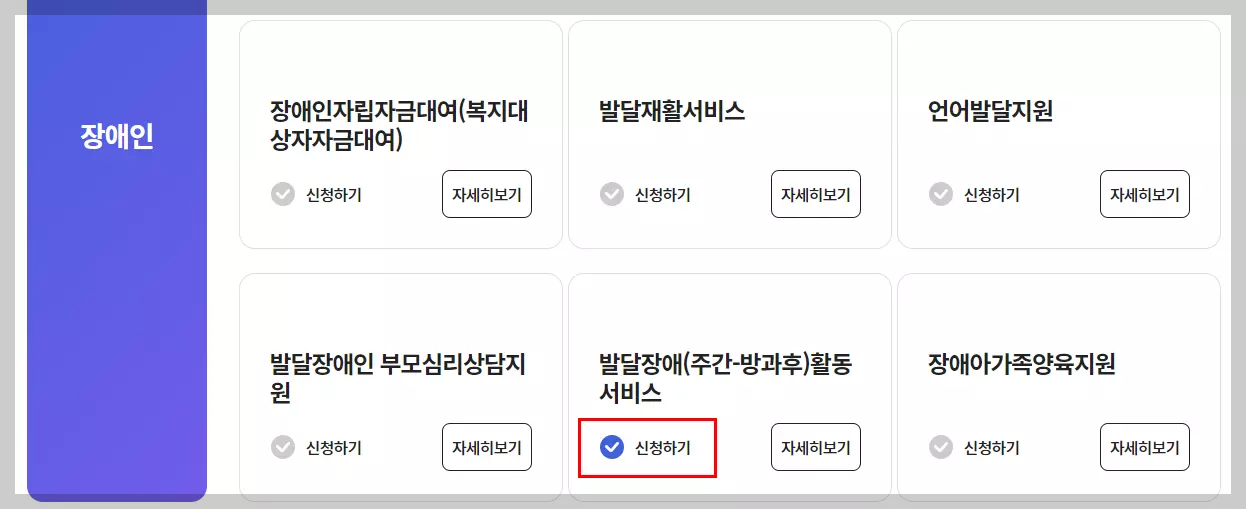 발달장애활동서비스