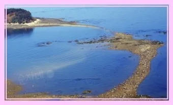 무창포 해수욕장 여행코스 바다 갈라짐 시간표 포함 정리_6